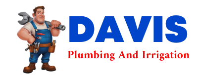 Trusted plumber in CHRISTINE